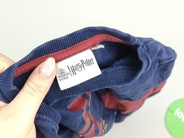 koszulka z psem: Sweatshirt, Harry Potter, 9 years, 128-134 cm, condition - Very good — 5