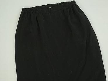 spódnice do pasodoble: Spódnica damska, rozmiar 2XL — 1