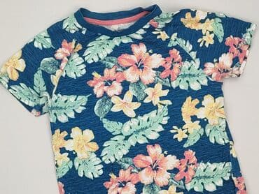 koszulka z gołębiem allegro: T-shirt, 5-6 years, 110-116 cm, condition - Very good — 1