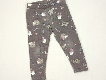 spodnie woskowane allegro: Leggings for kids, Cool Club, 1.5-2 years, 92, condition - Very good — 1