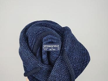 bluzy gap: Springfield, Bluza z kapturem dla mężczyzn, rozmiar XL — 4