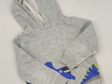 kurtka napapijri: Sweatshirt, Palomino, 7 years, 116-122 cm, condition - Very good — 1