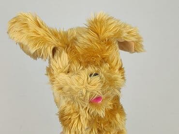 Mascots: Mascot Dog, condition - Very good — 4