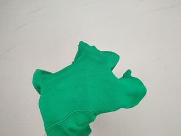 sukienka z pepco: Primark, Sukienka damska, rozmiar XS — 6