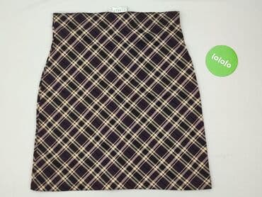 plisowane spódnice lidl: Hennes Collection, Spódnica damska, rozmiar XL — 3