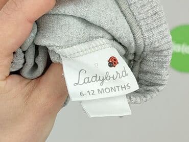 kombinezon zimowy endo: Leggings, Ladybird, 9-12 months, condition - Very good — 4