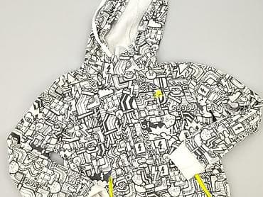 primark fleeces: Adidas, Худі для чоловіків, розмір S — 1