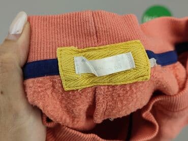 skarpety z twoim psem: Sweatpants, 3-6 months, condition - Very good — 4