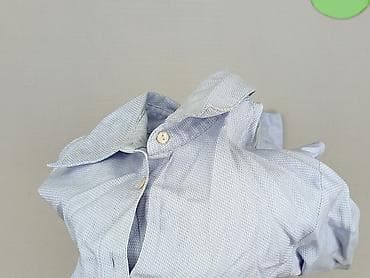 bodies next: NEXT Petite, Women`s shirt, size S — 6