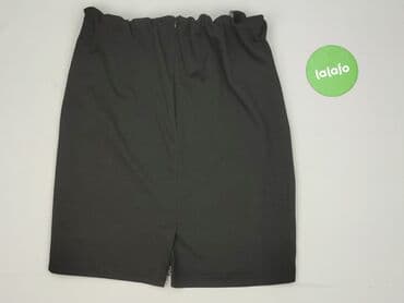 plisowane spódnice lidl: Janina, Spódnica damska, XL — 3