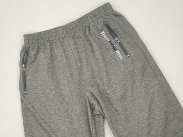Shorts for men, L (EU 40), condition - Good