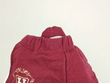 rajstopy w czerwono czarne paski: Shorts, Harry Potter, 10 years, 134/140, condition - Very good — 6