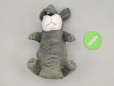 c a torby: Kid's backpack, condition - Very good — 2