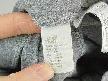 woskowane spodnie mohito: Leggings, H&M, 3-6 months, condition - Perfect — 4