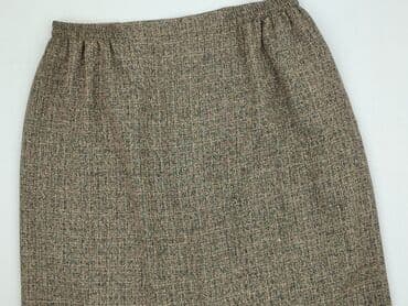 lidl spodnice: Women`s skirt, size 3XL (EU 46) — 1