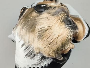 bluzki dla psa: Shein Curve, Bluza damska
, rozmiar 4XL — 6