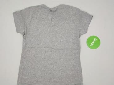 t shirt dzik: Gildan, T-shirt damski, rozmiar M — 3