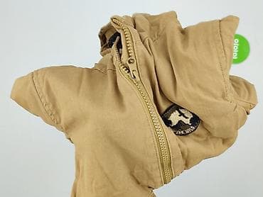 bluza z misiem cropp: Kurtka przejściowa, Little kids, 4-5 lat, 110-116 cm, stan - Bardzo dobry — 6