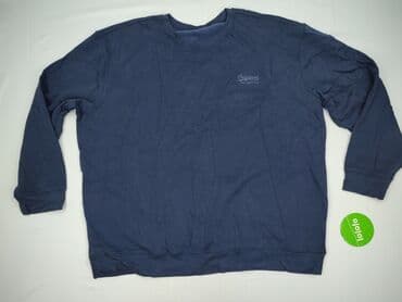 bluza just chill: GREY WOLF, Bluza dla mężczyzn, rozmiar 5XL — 2