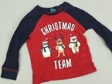 Bluzy: Bluza, Little kids, 3-4 lat, 98-104 cm, stan - Idealny