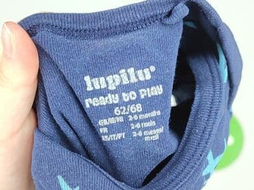 kurtka napapijri: Body, Lupilu, 3-6 miesięcy, 
stan - Bardzo dobry — 4