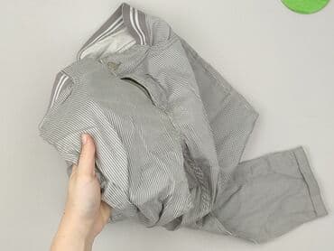 jeansy straight stradivarius: Laura Torelli, Spodnie materiałowe damskie, rozmiar S — 5