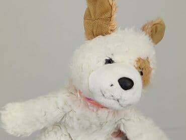 slask wroclaw koszulki: Mascot Dog, condition - Perfect — 4