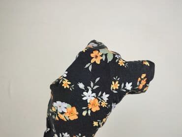 sukienki na wesele sieciowka: Terranova, Sukienka damska, rozmiar M — 5