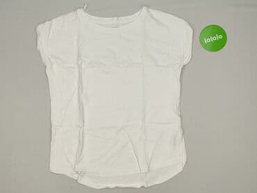 reserved koszulka jamnik: T-shirt damski, M — 2