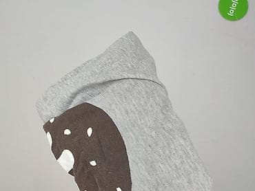 cedar wood state sweter: Cedar Wood State, Bluza damska
, rozmiar M — 7