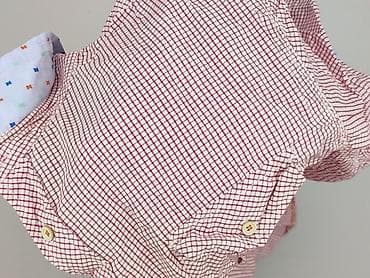 pull pull bear: Nature, Koszulа dla mężczyzn, rozmiar 3XL — 6
