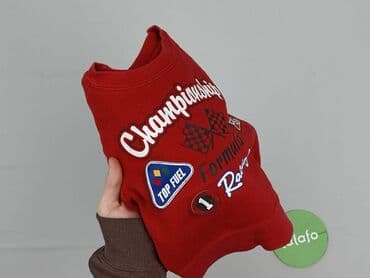 kombinezon pikachu: Bluza, 9-12 miesięcy, stan - Dobry — 5