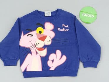 podkoszulki 3d allegro: Bluza, Disney, 3-4 lat, 98-104 cm, stan - Bardzo dobry — 2