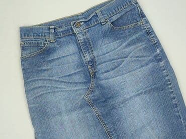 LeviS, Women`s skirt, size M (EU 38)