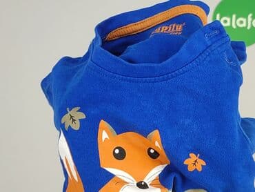 lidl koszulka termiczna: T-shirt, Lupilu, 3-6 months, condition - Very good — 6