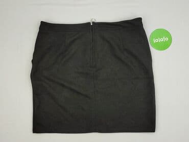 plisowane spódnice lidl: Janina, Spódnica damska, XL — 4