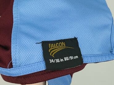 sweter w paski c a: Long-sleeved top for men, S (EU 36), Falcon, condition - Very good — 5