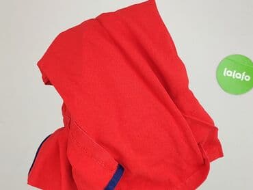 hampton republic bluza: Us Polo Assn, Damska koszulka polo, rozmiar S — 5