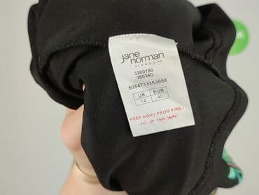 lidl spodnice: Jane Norman, Women`s skirt, size L (EU 40) — 4