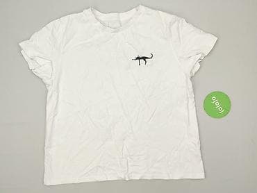 gatta kolory: T-shirt damski, rozmiar 2XL — 3