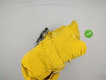 kurtka i spodnie zimowe pepco: Primark, Parka damska, rozmiar XS — 5