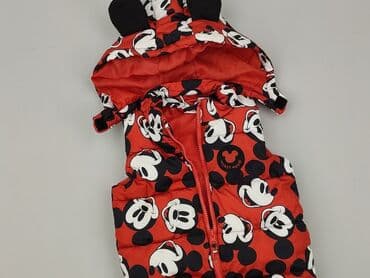top stan: Kamizelka, Disney, 1.5-2 lat, 86-92 cm, stan - Bardzo dobry — 1