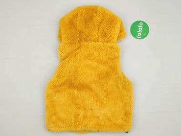 c and a bluza: Vest, Destination, 10 years, 134-140 cm, condition - Perfect — 3