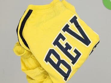 pull and bear szorty: Terranova, Top damski, rozmiar S — 5