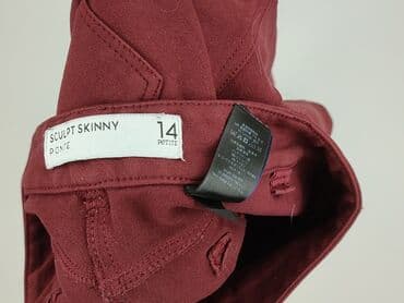 rajstopy świateczne: NEXT Petite, Spodnie materiałowe damskie, XL — 4