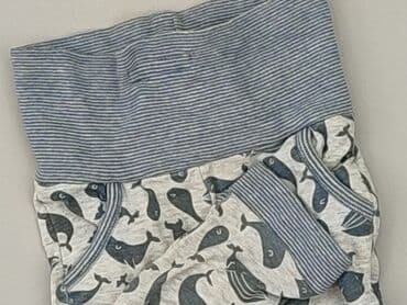 trampki vans authentic: Sweatpants, Cool Club, 1-3 months, condition - Very good — 1
