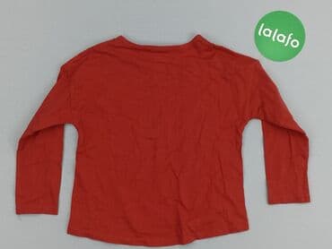 emo koszulka: Blouse, Zara, 4-5 years, 104-110 cm, condition - Very good — 3