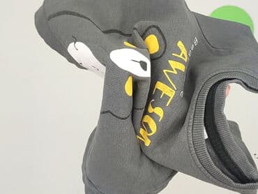 local heroes koszulka: Sweatshirt, So cute, 9-12 months, condition - Very good — 4