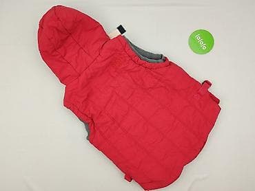 pull and bear bomberka: Superdry, Kamizelka damska, rozmiar XS — 3