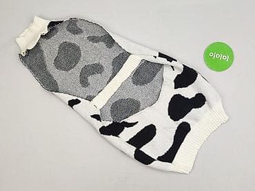 bluza z psem damska: Jeansy damskie, rozmiar S — 3